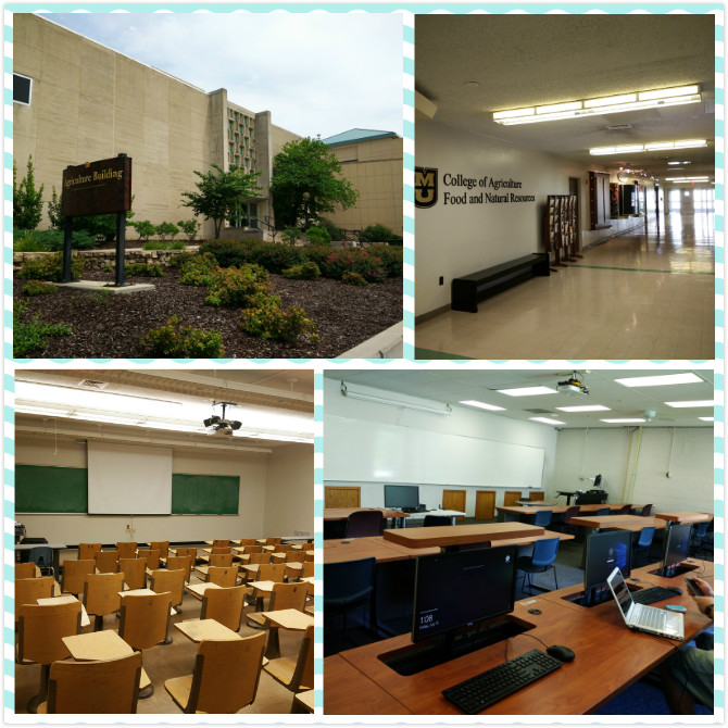 针推河豚直播足球