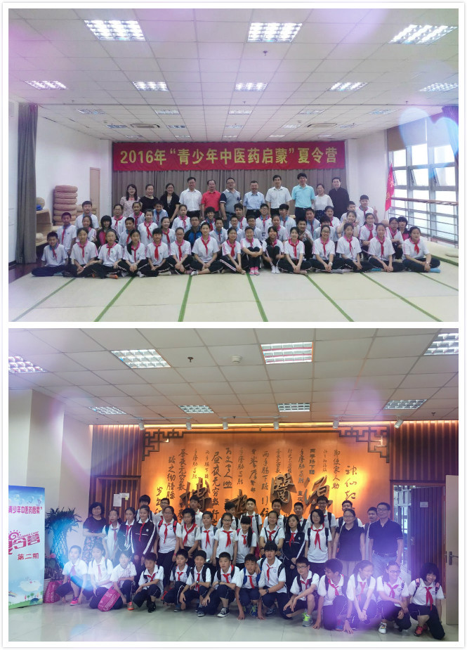 针推河豚直播足球